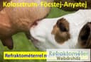 RHB-32SG ATC refraktometr na kolostrum